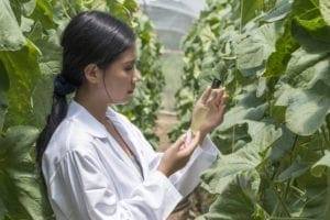 autoclaves for agriculture and environment research